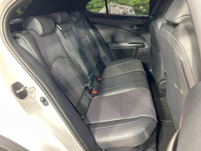 LEXUS UX300h