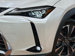 LEXUS UX300h