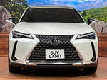 LEXUS UX300h