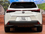 LEXUS UX300h
