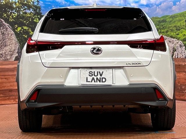 LEXUS UX300h