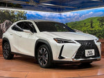 LEXUS UX300h