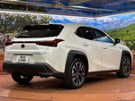 LEXUS UX300h