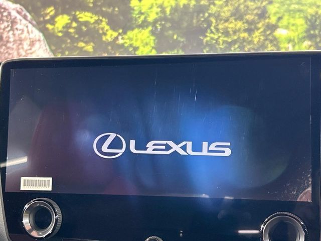 LEXUS NX350h