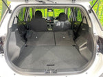 RAIZE HYBRID