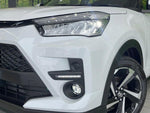 RAIZE HYBRID