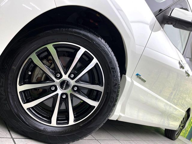 SERENA  S-HYBRID