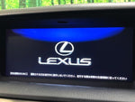 LEXUS GS300h