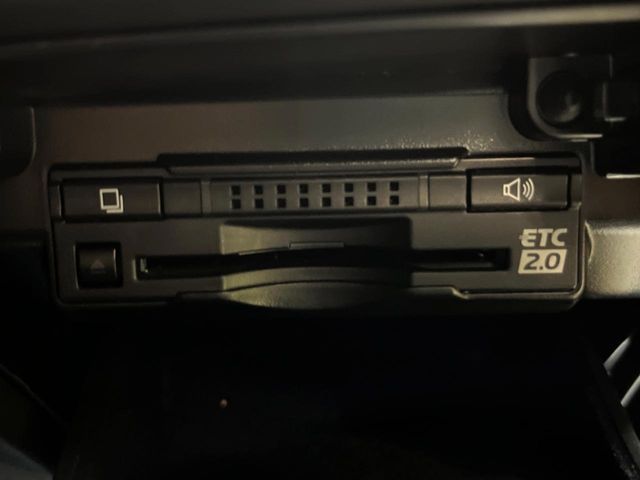 LEXUS GS300h