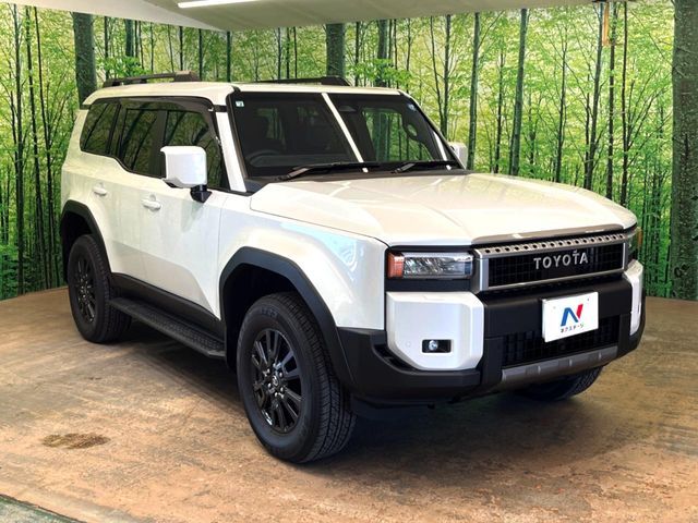 LANDCRUISER 250