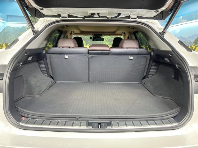 LEXUS RX450h AWD