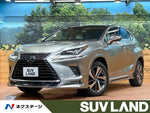 LEXUS NX300