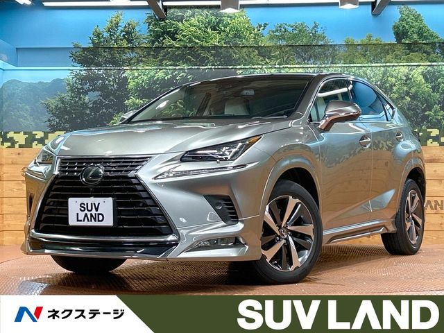 LEXUS NX300