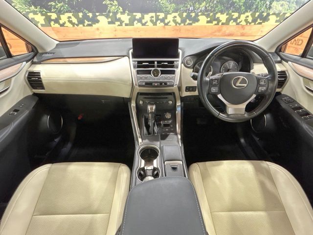 LEXUS NX300