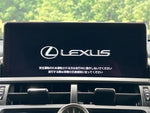 LEXUS NX300