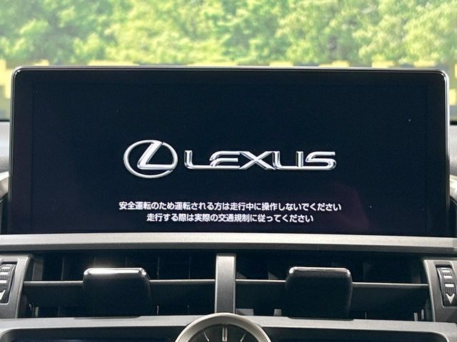 LEXUS NX300