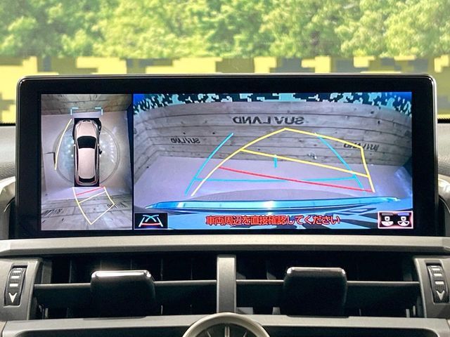 LEXUS NX300