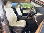 LEXUS NX300