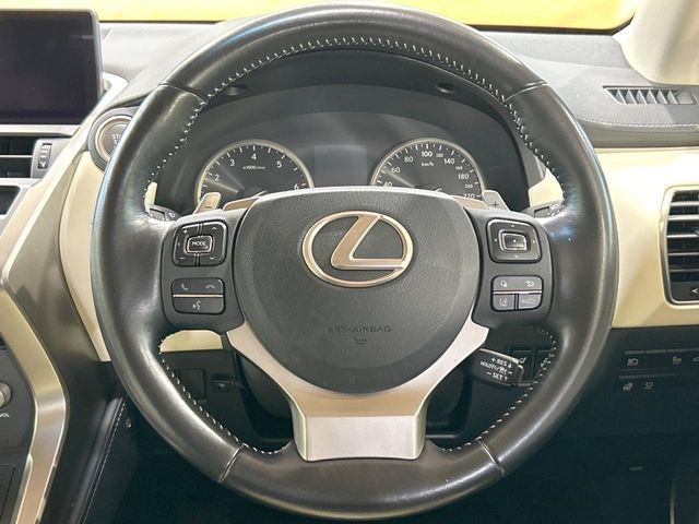 LEXUS NX300