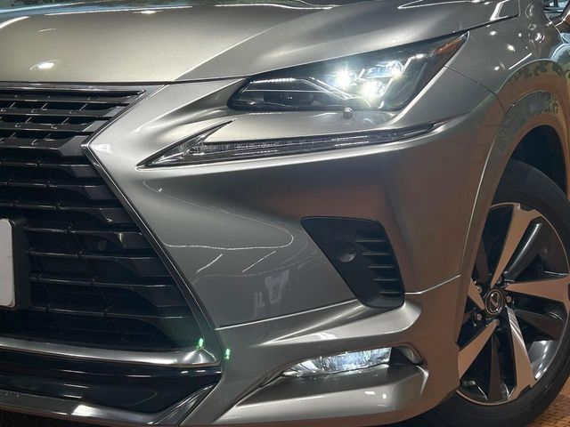 LEXUS NX300
