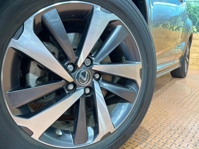 LEXUS NX300