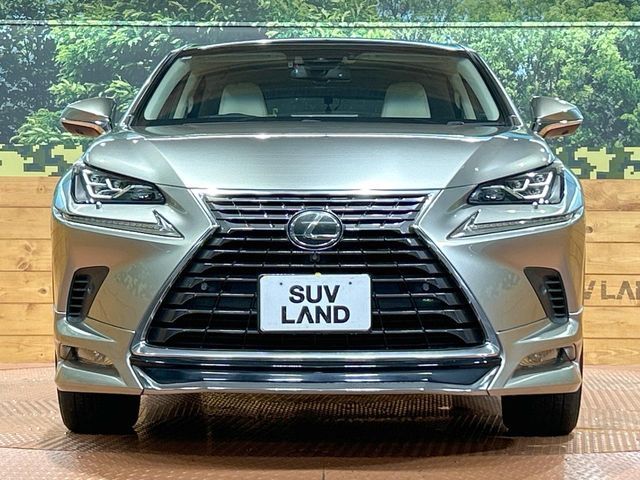 LEXUS NX300
