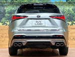 LEXUS NX300
