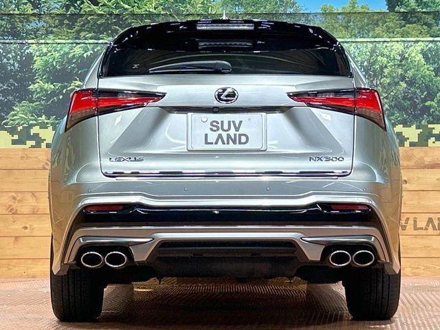 LEXUS NX300