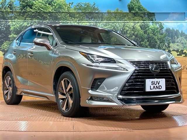 LEXUS NX300
