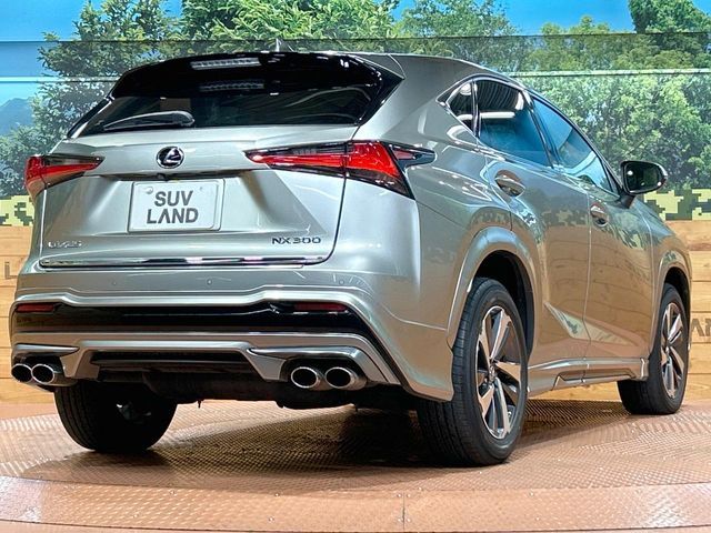 LEXUS NX300