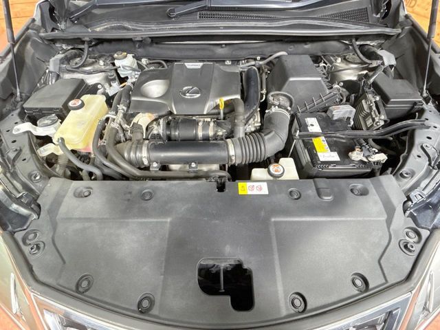 LEXUS NX300