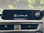 LEXUS UX250h