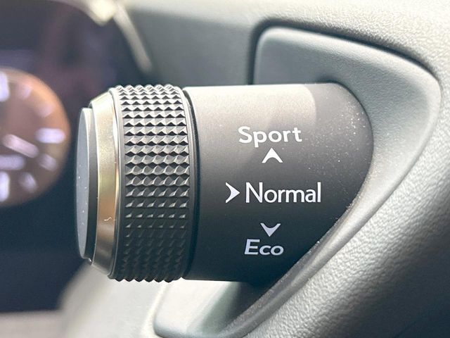 LEXUS UX250h