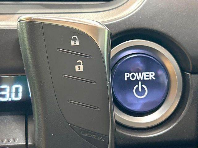 LEXUS UX250h