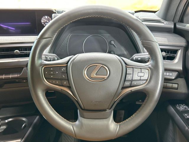 LEXUS UX250h