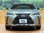 LEXUS UX250h