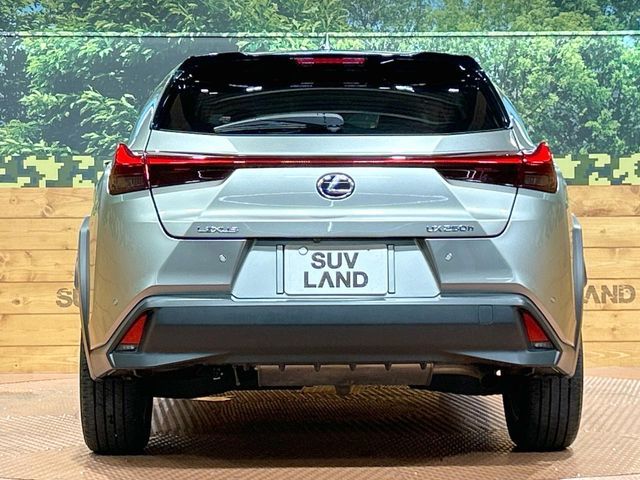 LEXUS UX250h