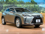 LEXUS UX250h