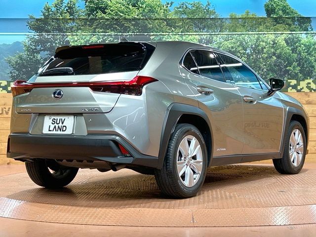 LEXUS UX250h