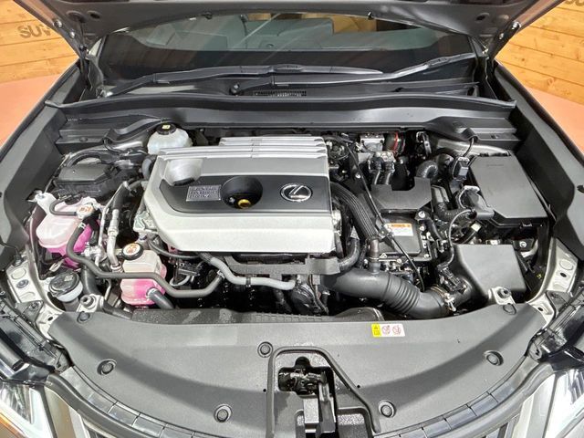 LEXUS UX250h