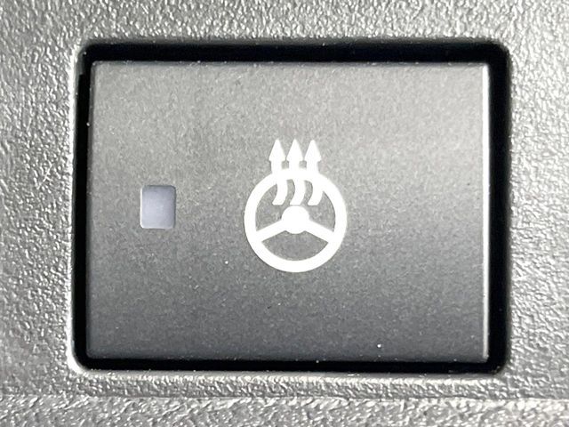 DELICA MINI