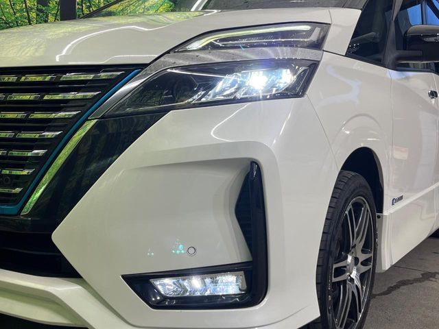 SERENA  WG