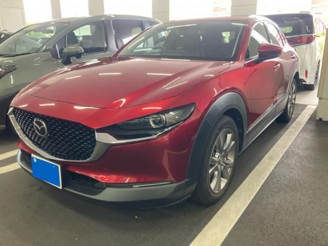 CX-30