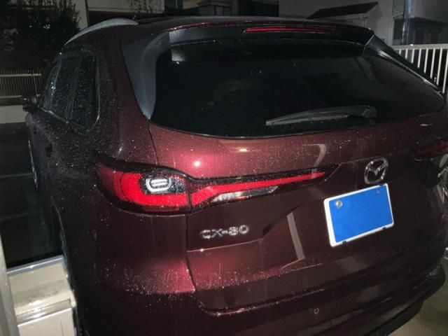 CX-80