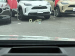 PRIUS 4WD