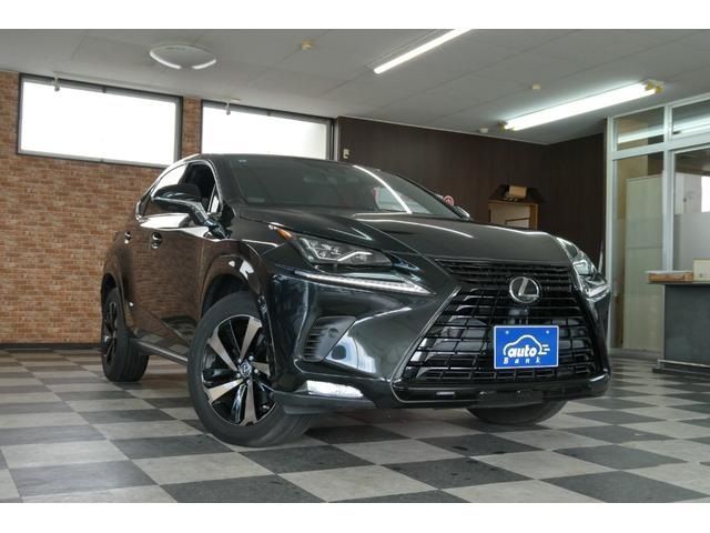 LEXUS NX300 AWD