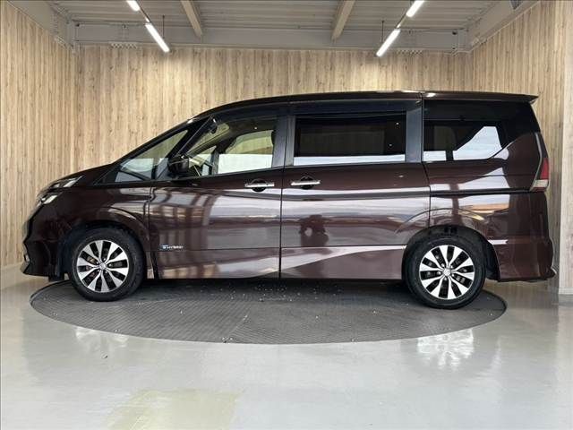 SERENA  S-HYBRID
