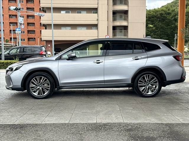 LEVORG LAYBACK