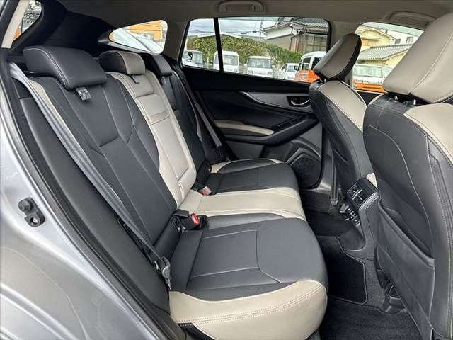LEVORG LAYBACK