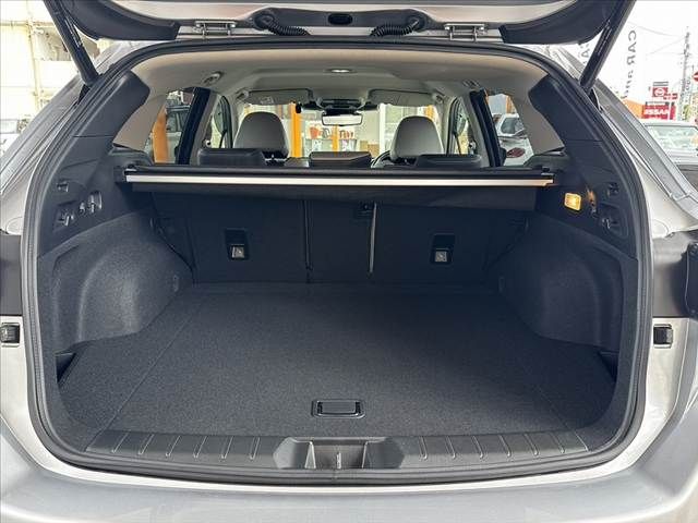 LEVORG LAYBACK